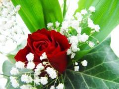 Care sunt zilele in care nu se fac nunti? 1 Care sunt zilele in care nu se fac nunti? 1