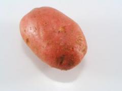 Cartofi cu smantana si marar 1 Cartofi cu smantana si marar 1