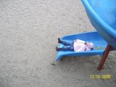 Rotavirusul 1 Rotavirusul 1