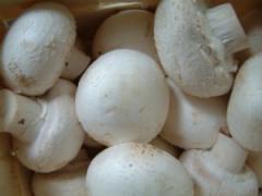 Salata de ciuperci cu oua 1 Salata de ciuperci cu oua 1