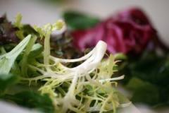 Salata de varza rosie cu piept de pui afumat 1 Salata de varza rosie cu piept de pui afumat 1