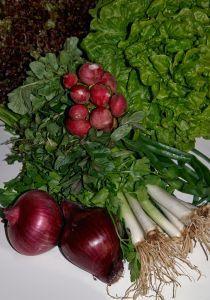 Salata pariziana 1 Salata pariziana 1