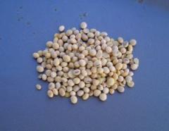 Soia, aliment sau medicament? 1 Soia, aliment sau medicament? 1