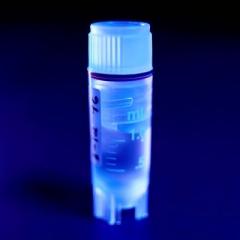 Spermograma 1 Spermograma 1