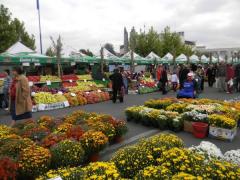 Targ de toamna Bucuresti 2013, in Parcul Tineretului 1 Targ de toamna Bucuresti 2013, in Parcul Tineretului 1