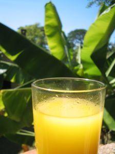 Vitaminele. Sursele si importanta lor pentru organism. 1 Vitaminele. Sursele si importanta lor pentru organism. 1