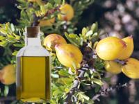 Beneficiile nutritionale ale uleiului de argan. Arma secreta pentru cei ce vor sa slabeasca... Beneficiile nutritionale ale uleiului de argan. Arma secreta pentru cei ce vor sa slabeasca...