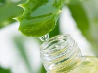 Lotiuni homemade pentru arsurile solare(Lotiuni dupa plaja) Lotiuni homemade pentru arsurile solare(Lotiuni dupa plaja)