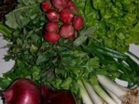 Salata pariziana Salata pariziana