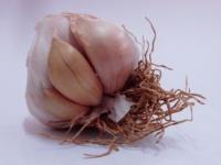 Tratament naturist pentru afectiunile cardiovasculare, reglarea tensiunii arteriale, scleroza si alte boli Tratament naturist pentru afectiunile cardiovasculare, reglarea tensiunii arteriale, scleroza si alte boli