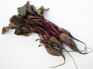 Salata de sfecla rosie cu ciuperci uscate Salata de sfecla rosie cu ciuperci uscate
