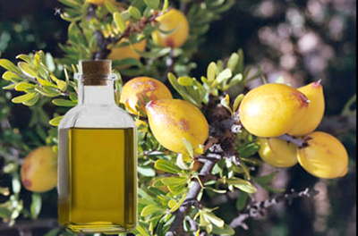 Beneficiile nutritionale ale uleiului de argan. Arma secreta pentru cei ce vor sa slabeasca... Beneficiile nutritionale ale uleiului de argan. Arma secreta pentru cei ce vor sa slabeasca...